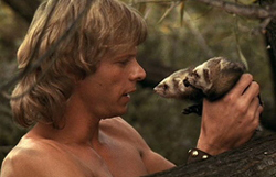 ��������� - ����������� ���� �� ������